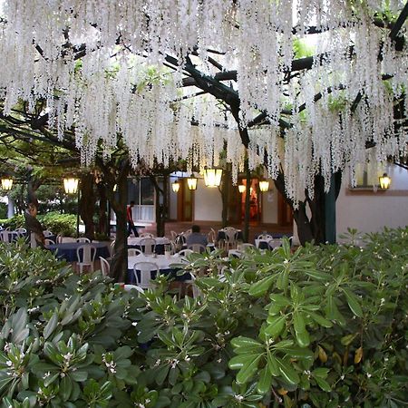 Albergo Ristorante Papa Peschiera del Garda Bagian luar foto